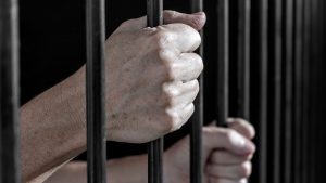 Law Office Of William B Bennett, St. Petersburg, FL, Debunking Myths Of Criminal Defense Lawyers